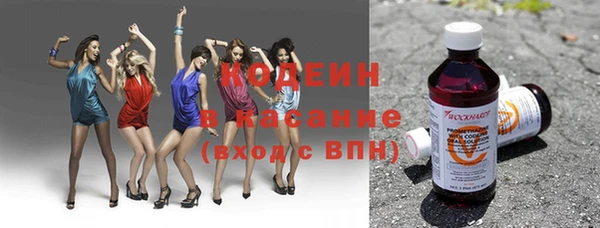 прущая мука Вяземский
