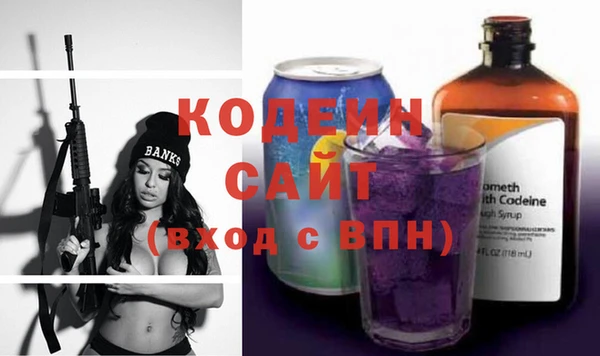 прущая мука Вяземский