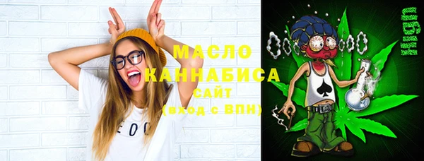 прущая мука Вяземский