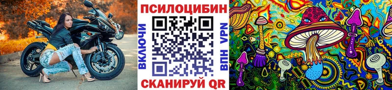 Купить закладки  Катав-Ивановск  Галлюциногенные грибы Magic Shrooms 