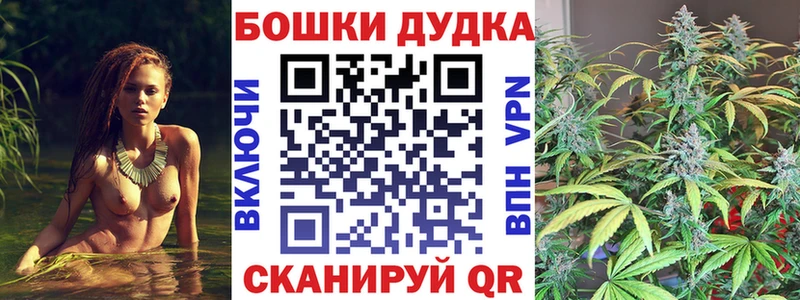 Бошки марихуана сатива  Купить закладки  Катав-Ивановск 